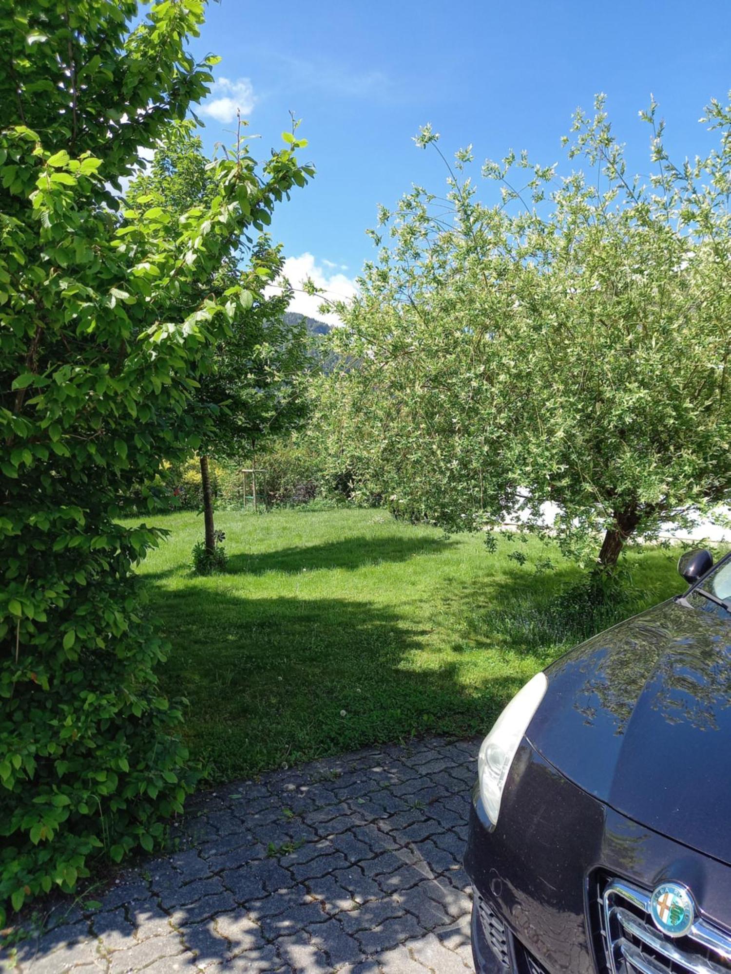 Flores, Ferienhaus Oder Doppelzimmer, Im Gruenen, 5 Gehminuten Ins Zentrum, Parkplatz, Zero Emissions Bad Ischl Zewnętrze zdjęcie