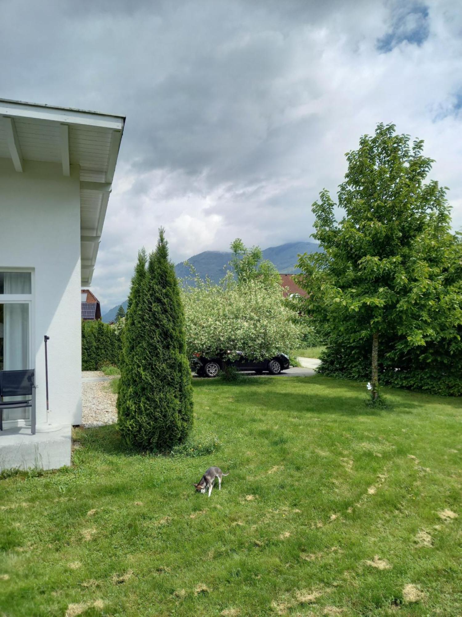 Flores, Ferienhaus Oder Doppelzimmer, Im Gruenen, 5 Gehminuten Ins Zentrum, Parkplatz, Zero Emissions Bad Ischl Zewnętrze zdjęcie